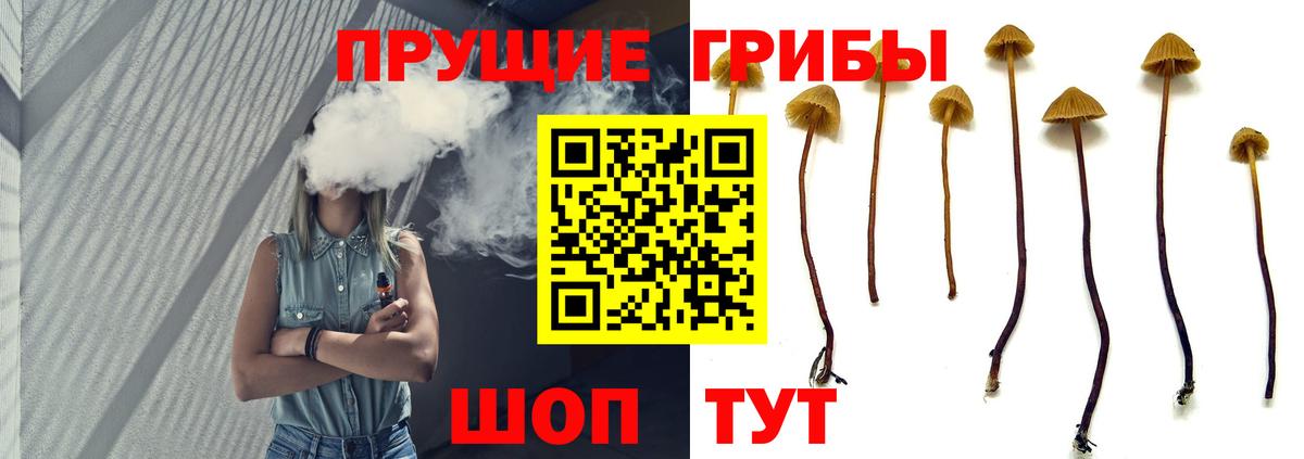 Галлюциногенные грибы мухоморы  Вход с VPN  Бирск 